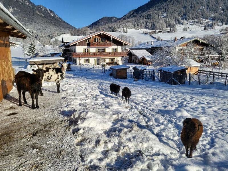 Gaestehaus Hinterponholz Ramsau bei Berchtesgaden Kültér fotó